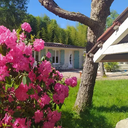 Le Clos Bussy * Bellerive-sur-Allier